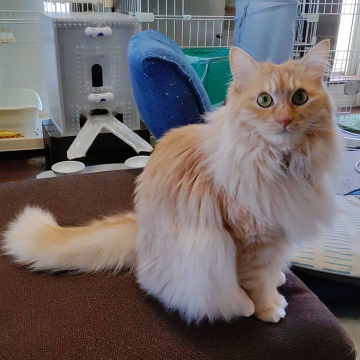 01cc161e 1dda 4c67 925e 4d58e0f7a42c 1715674074448