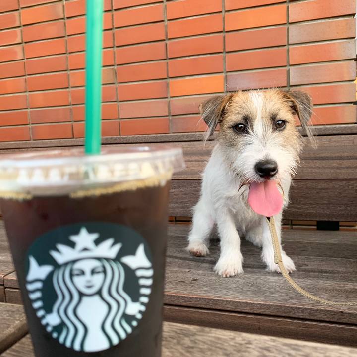 01cc6335 bddc 4a61 9109 1f8a0888f521 1566741947760