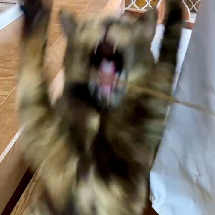 01cc7274 974b 4395 af0b f1895dff8170 1741142307567