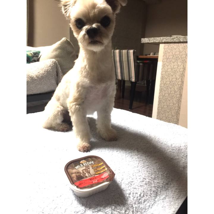 01cc79a3 fb7d 4d57 aca2 baff8112c7d9 1538564426183