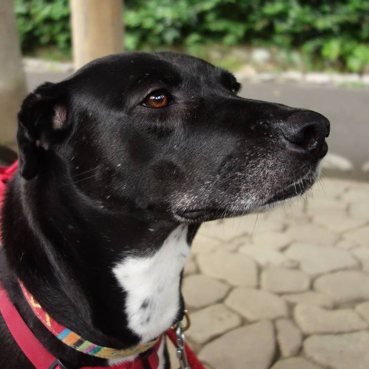 01cc83ad 0beb 4975 97db 4feea1f63fa7 1621645405225