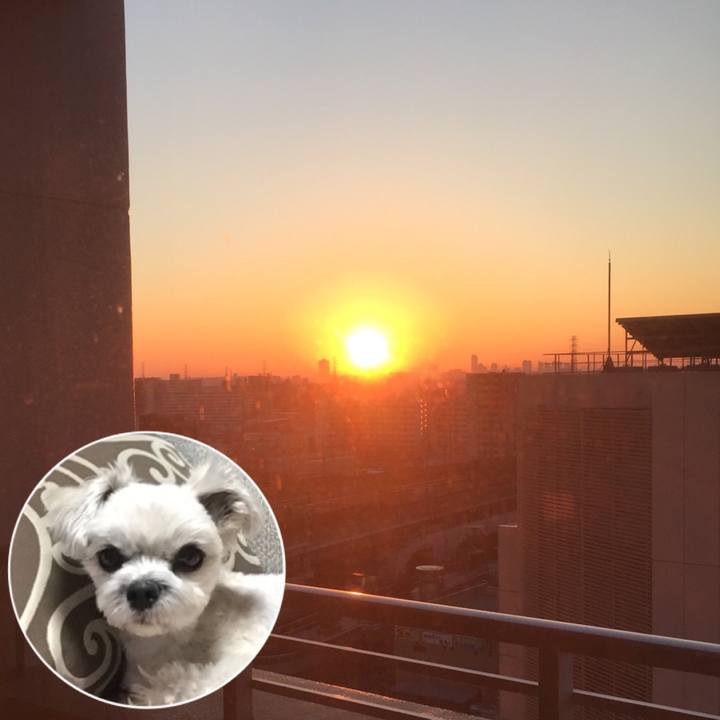 01cc8817 6bc2 4370 aaff d4ad6f134f9c 1514788589488