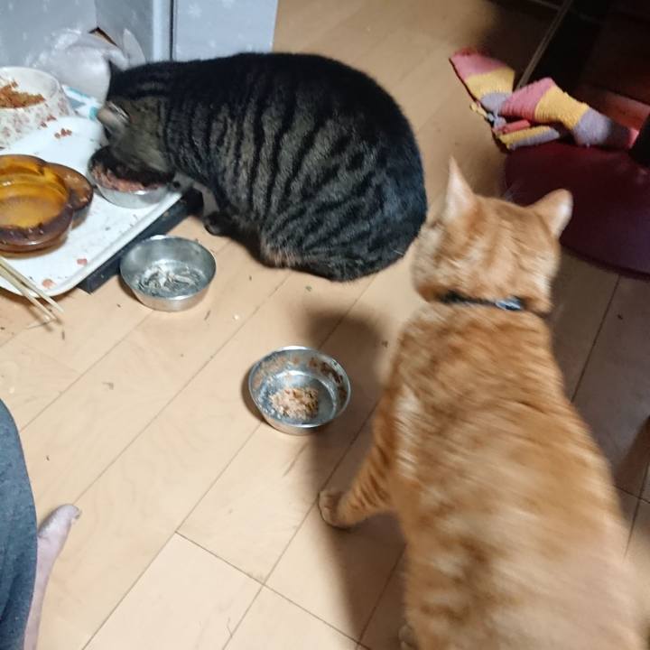 01ccaf38 f419 4016 9795 ff23736aebd1 1639773508305