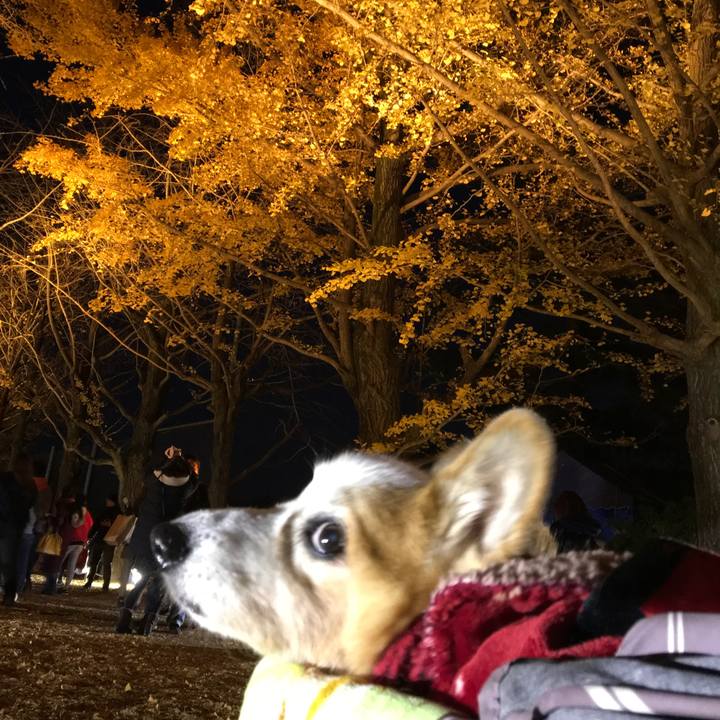 01ccb8ac f87b 48f3 93e0 d260a5fa7f64 1575249400500