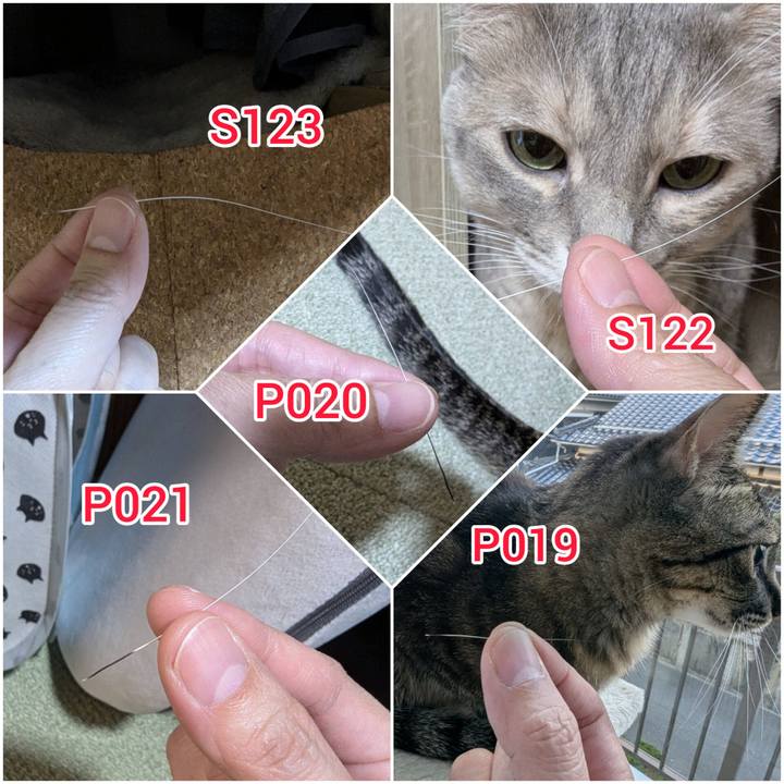 01ccc70d b8f4 42ce a4d5 582b9b6cd057 1733731289269