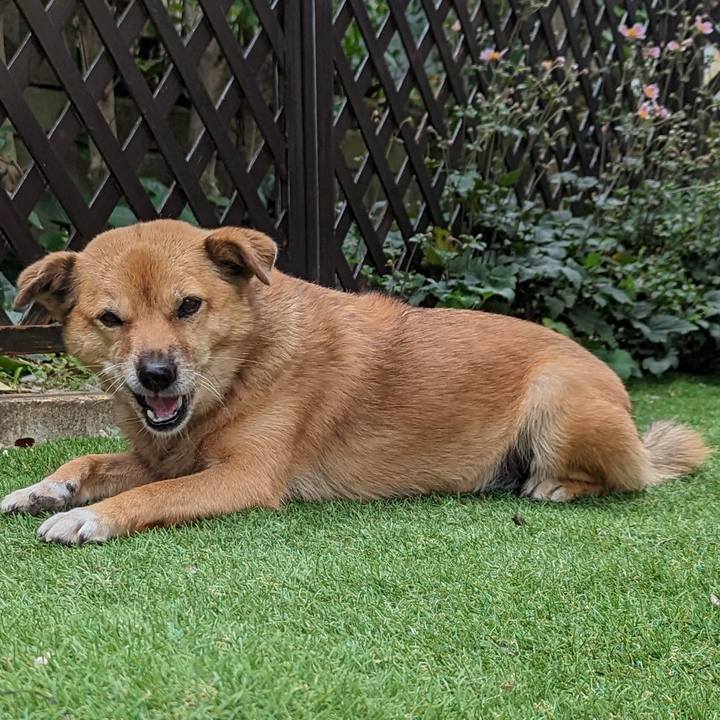 01ccce3f 7958 4b81 a42e bef1466d9708 1664019765999