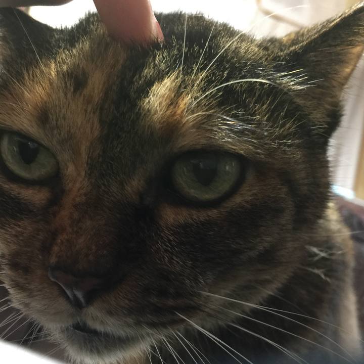 01cccfe5 24f4 4184 b14c d7d7b691d71d 1539666026274