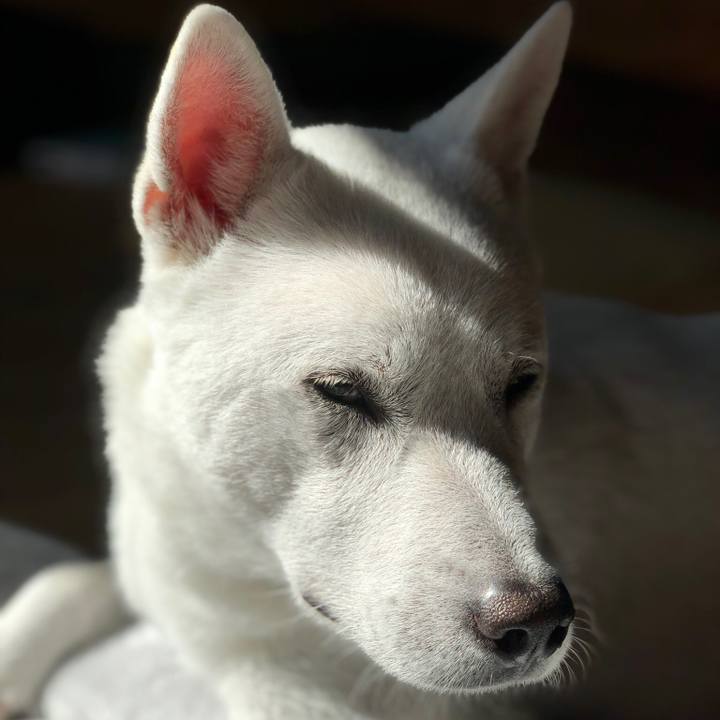 01cd14bd 2540 4bbe 8f0d f2a3c6e64398 1541218842305