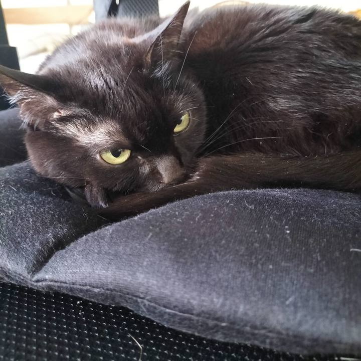 01cd37c3 cf62 480a 9765 f08e97ec61bb 1711442060478