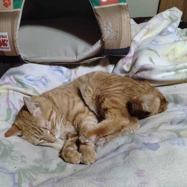 01cd3e6e 1266 4636 93b5 489751ca7846 1678458430236