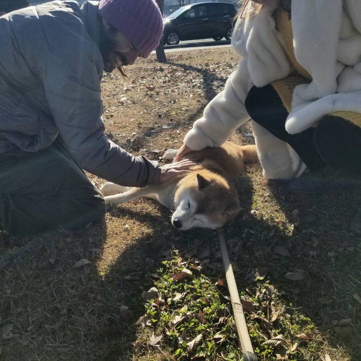 01cd4129 c5d1 465f 9f54 1b50b87a8e83 1704428354165