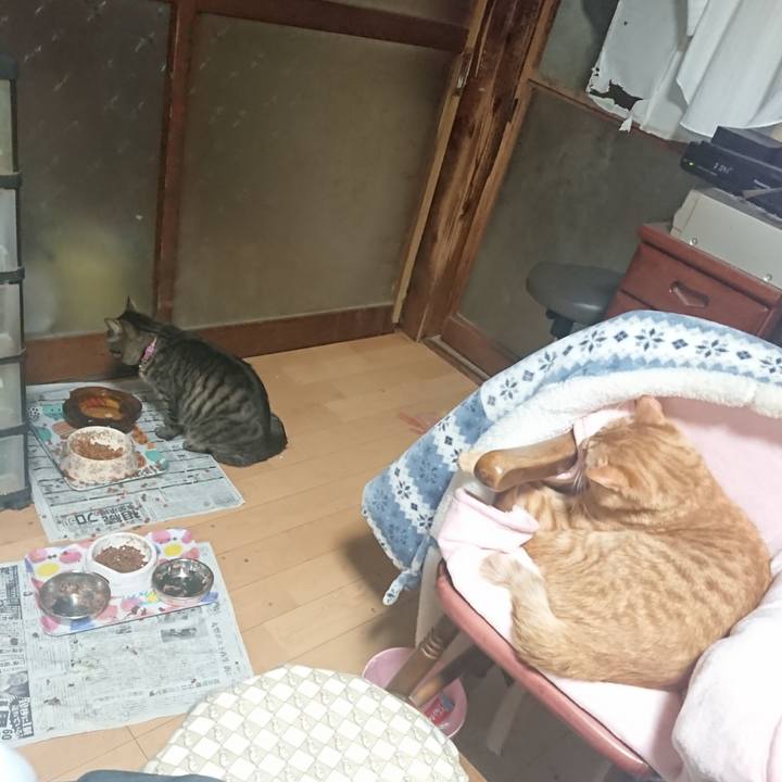 01cd81b5 1628 45c3 a8df d2732a390f23 1651234421436