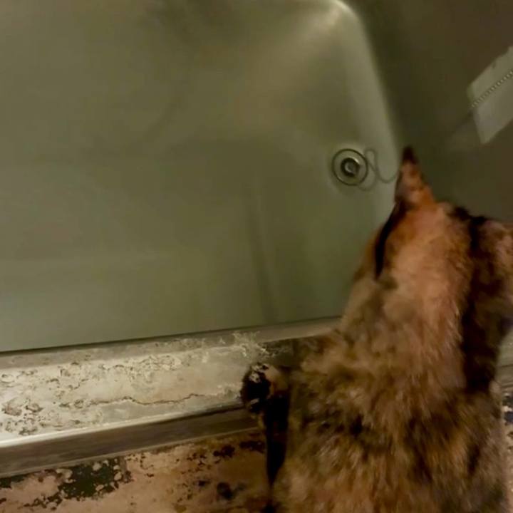 01cd8a39 6640 4257 b1e0 94c3e0db9d13 1761599718676