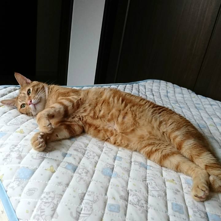 01cda4c1 9e4d 4f74 941b 53ad47a139ae 1536872912086