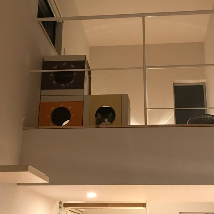 01cdc4a1 d0dc 42c1 a3ed c5eb0fcd8415 1520514159452