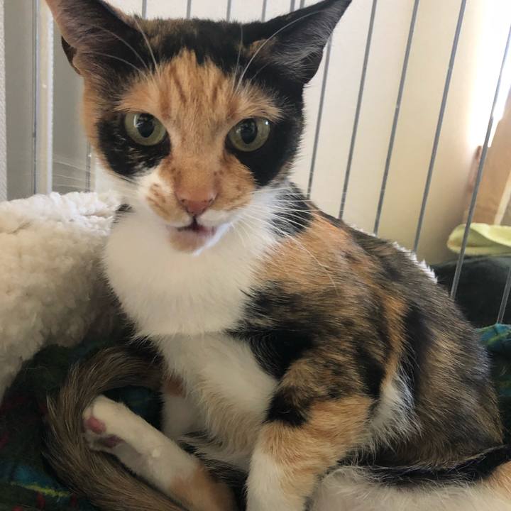 01cdfbcd 197a 4005 a6ec f28924a8dc40 1557447285062