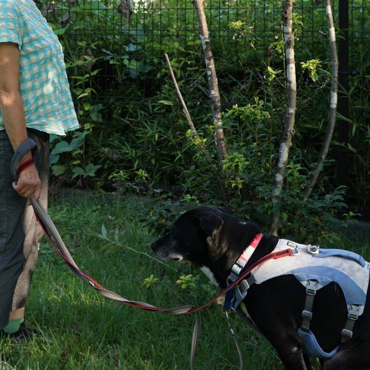 01ce1616 9cb2 41b7 bef7 78734c49a4f9 1758152741771