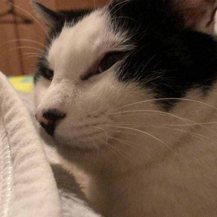 01ce4b41 3aff 4100 9db0 b6dc5dafb723 1550157249754