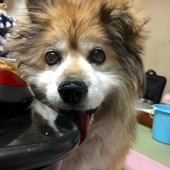 01ce5dbf 6734 4616 ae2b dbaac78d0b58 1563409324955