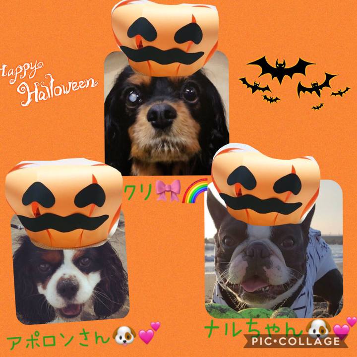 01ce9f34 fb12 4d41 a555 85a41416f003 1572507901985