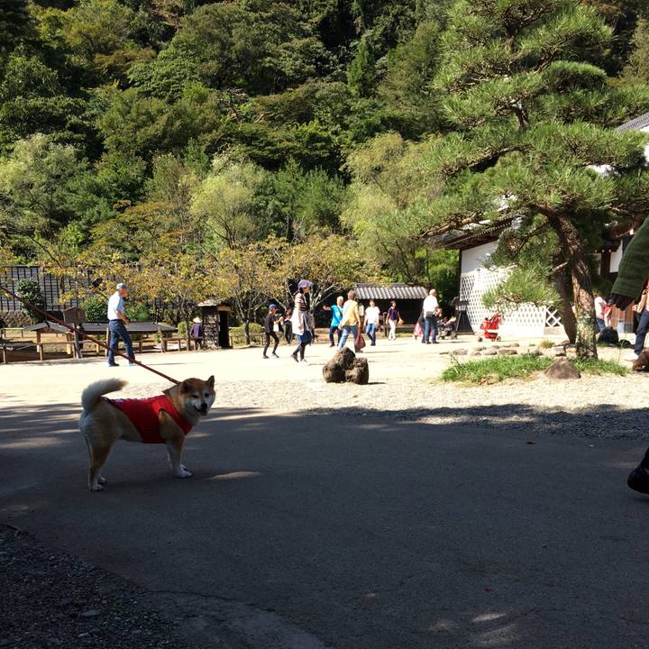 01cea2ed a908 467d 946e fc3fd8cf3cdc 1570248359725