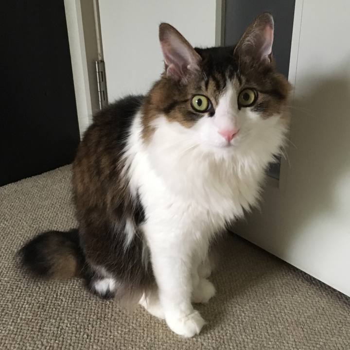 01cea574 9c9d 4e04 99b8 991c0598a4b6 1529140701065