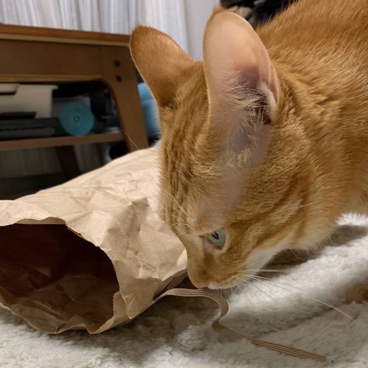 01cea99e d2ed 47ca 95d5 486e10225557 1602542200291