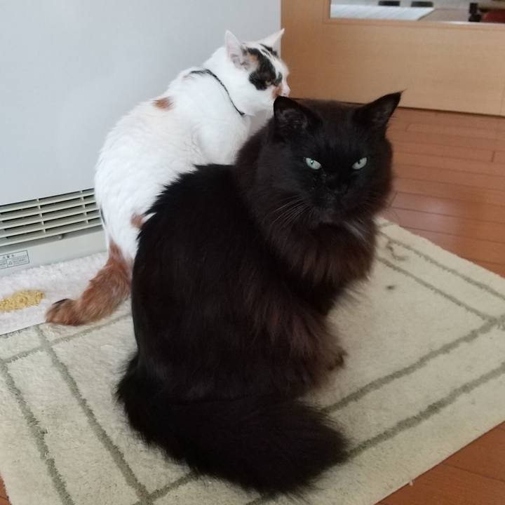 01ced319 f45b 4fc7 bf22 c38382e7355b 1608424038365