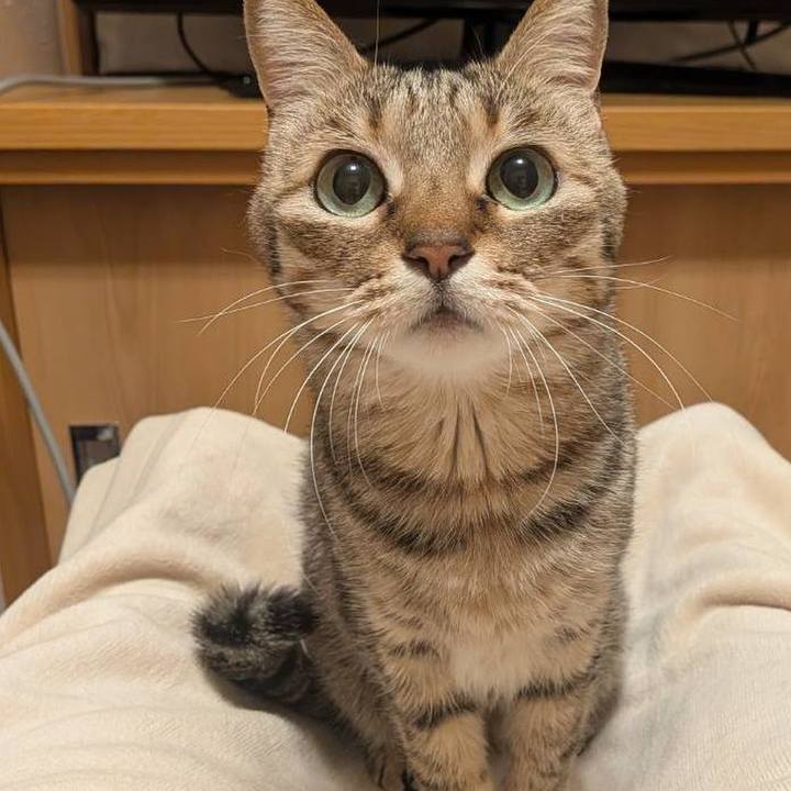 01cee117 585b 4b88 90e6 0e0bc42e0b67 1773178152141