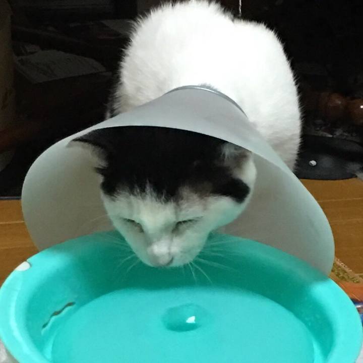 01cee76b 3e85 48ed 89f4 d51533c649f7 1539363908450