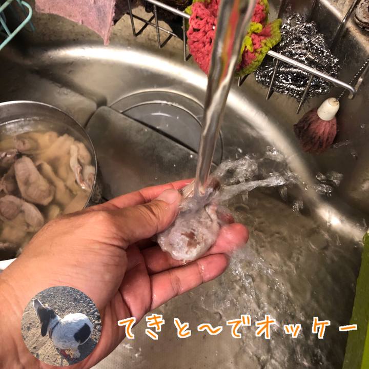 01cf05ee fc98 4131 af6a f694b8e2b325 1571675838839