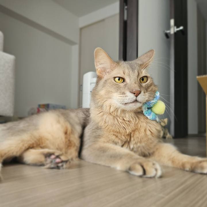 01cf77fb 4dd3 4e07 b3bd 659ed2a9b96f 1759121813632