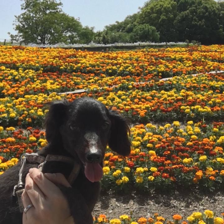 01cfbd5e fbf0 45d4 be40 3f2c5af3cf2f 1628901508424