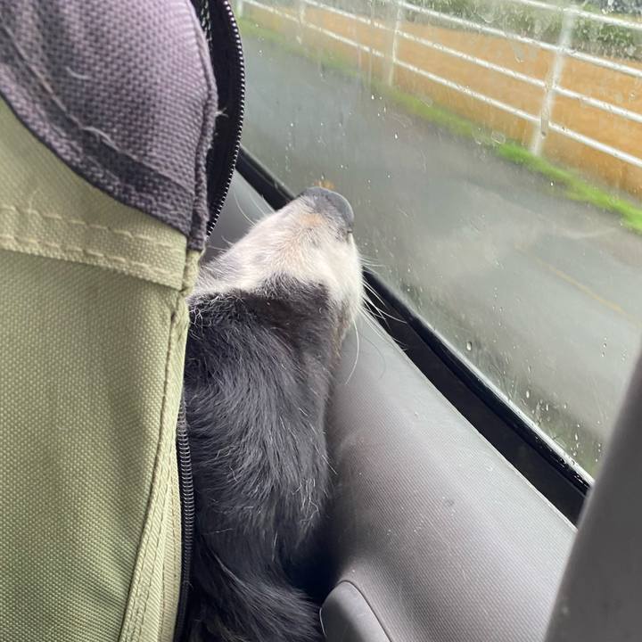 01d05f13 9eec 4738 8ba2 5c4dbe6a0fcb 1621116510634