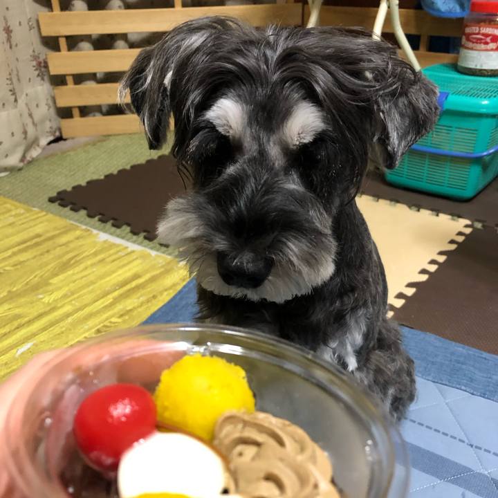 01d067d6 4fb2 44a8 adbf bf9e941b1880 1696752177131