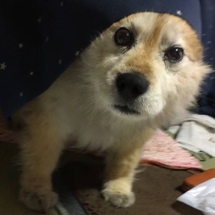 01d075f6 3d09 48ec 866a 7c88735c3c2b 1565238304928