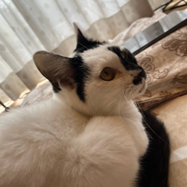 01d0d9df 19a4 4e00 9df7 84b661d49426 1766235928045