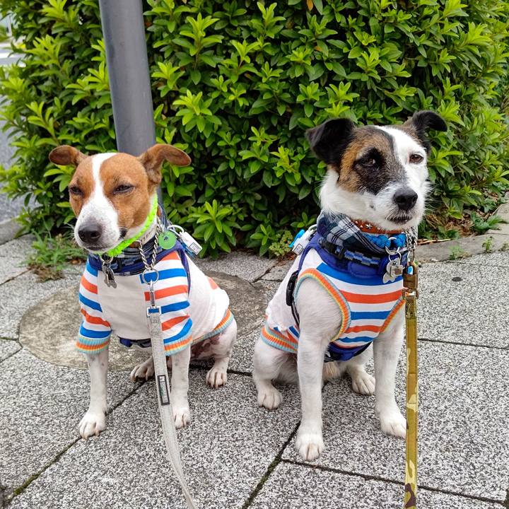 01d14bd1 fb02 423c 8f83 7d2d0711c5af 1623709780383