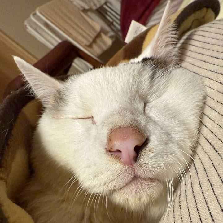 01d1636f fb3d 434e 8be6 84aabffdb13a 1764336584454