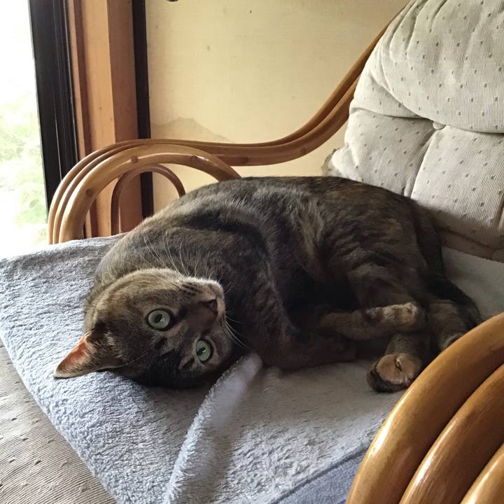 01d195bf 057c 412e 81df dcf2d18f4c16 1627687756513