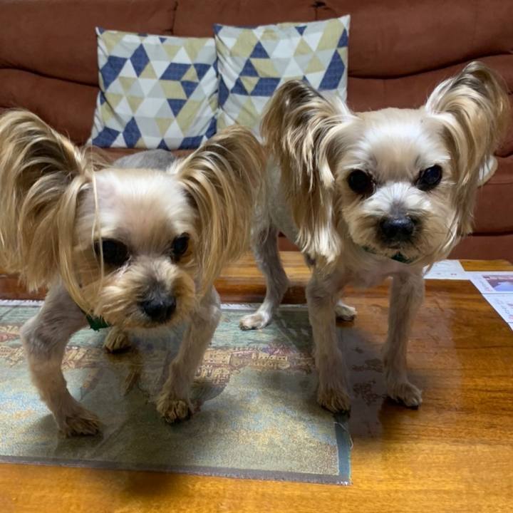 01d1a500 5970 4357 bf69 af10fc64de67 1639386643067