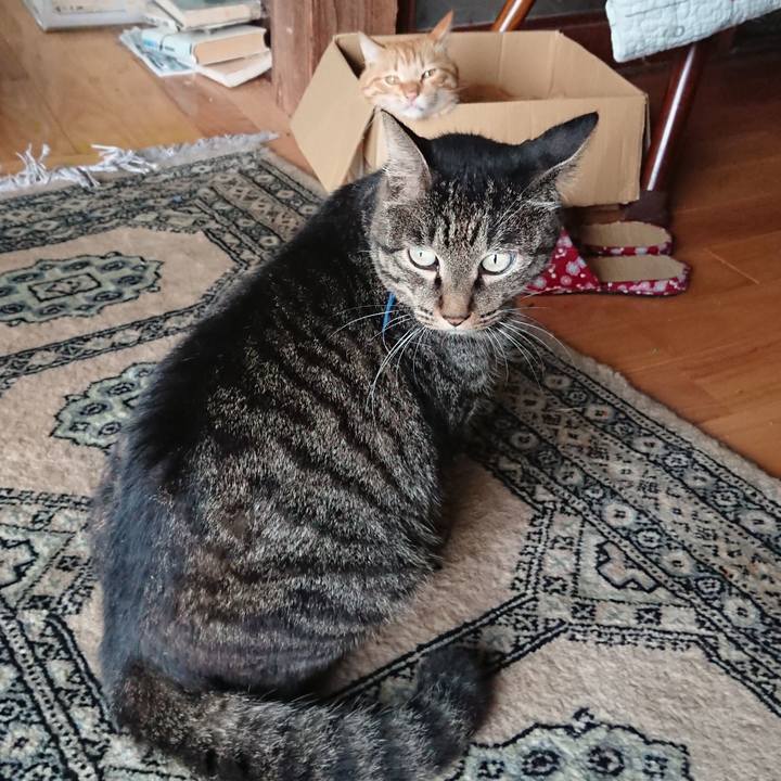 01d1bb0e ea11 450f a402 405b4ef80a8f 1660639603324