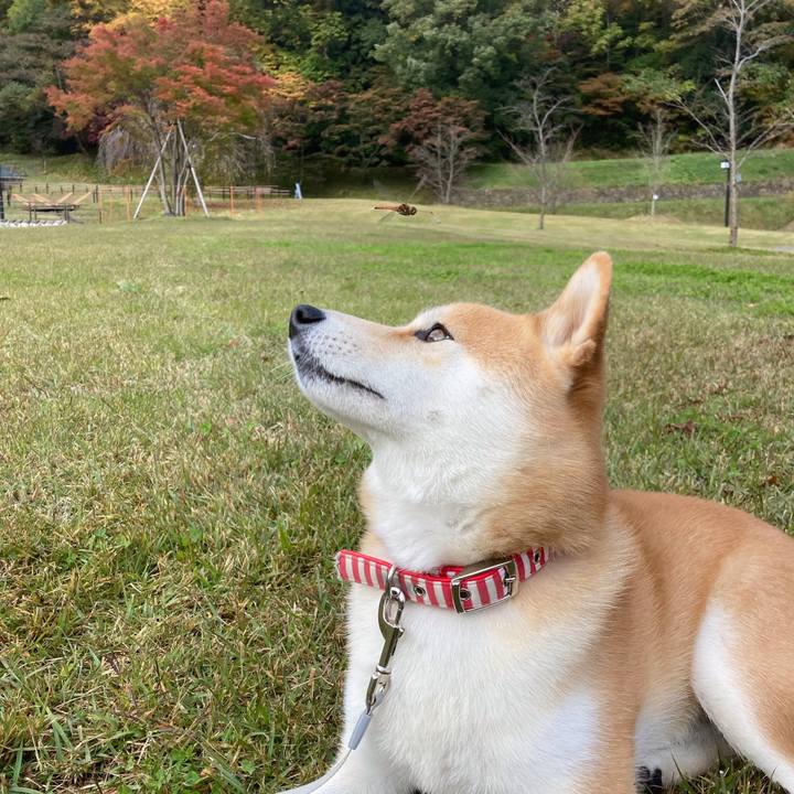 01d1bdb7 ece7 40d2 9ef9 f9ba15260544 1667301260206