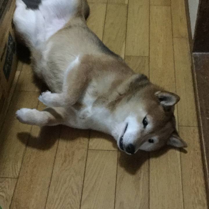 01d1e77e 8f97 4e8f b54f bdfe4552e7ad 1611221939653