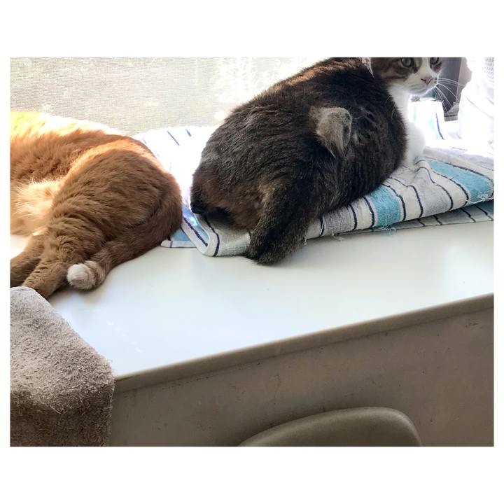 01d20a25 73ae 4899 8ead 7fc0dbd91946 1632364619807