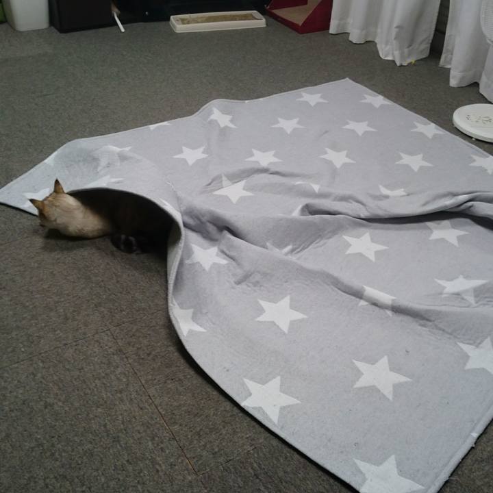 01d21a62 27b0 4ddd 8fda 97a1b19d4887 1507887251585