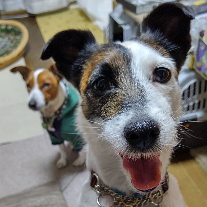 01d22990 01e1 4649 aae5 147e0f9e6cab 1646734858952