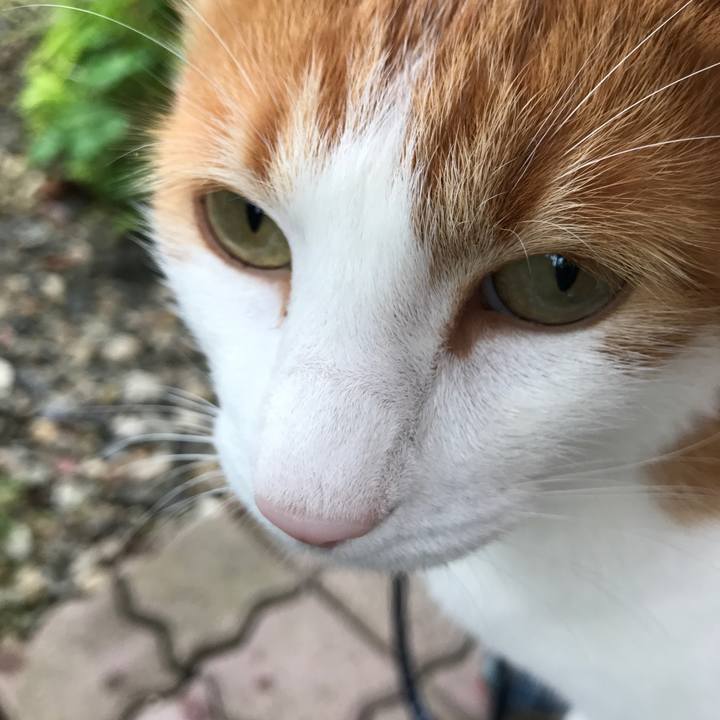 01d290d6 cd2a 4fa6 b812 491f72530307 1527747609824