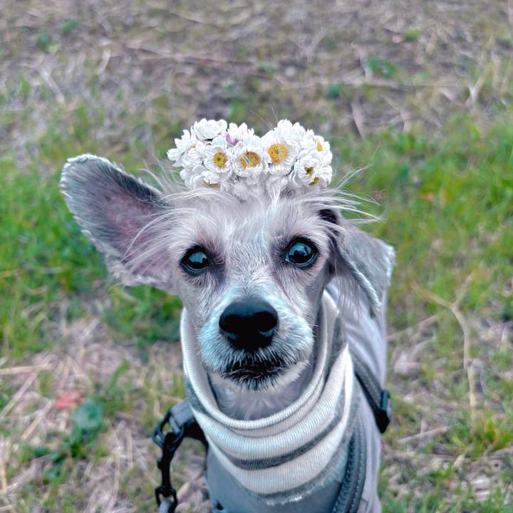 01d310af cee7 44f7 b62e 64baad2b29f7 1773909028262