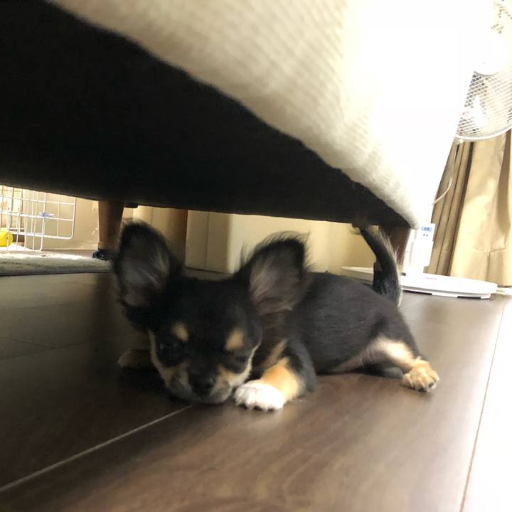 01d3983c 39a4 4f48 b189 0522c785d0a9 1537443274461